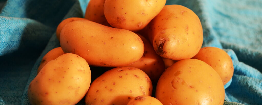 Der Klassiker unter den gem&uuml;sigen Kohlenhydraten: die Kartoffel.