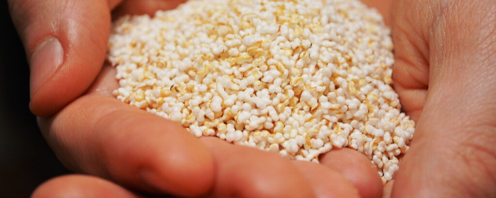 Amaranth in seiner gepufften Form schmeckt nicht nur im Müsli gut. Amaranth in seiner gepufften Form schmeckt nicht nur im Müsli gut.