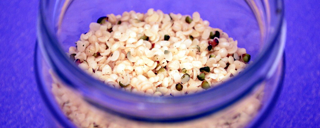 Hanfsamen gibt es vor allem in Biol&auml;den oder im Internet zu kaufen.