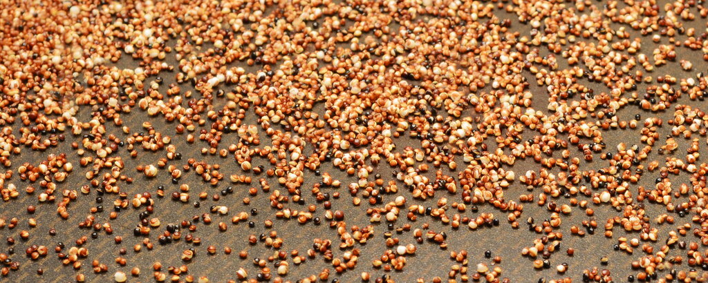 Gepufft macht Canihua auch in M&uuml;sli eine gute Figur - und nicht nur da.