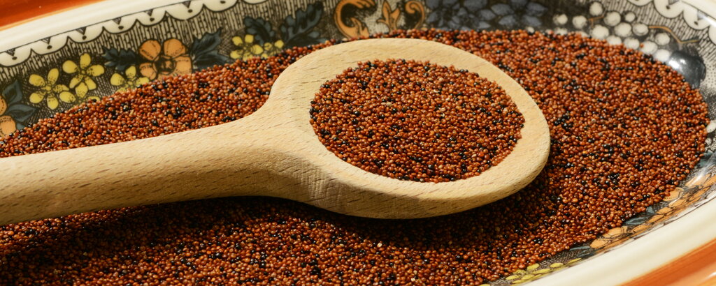 Canihua ist ein kleines braunes K&ouml;rnchen - mit besten Inhaltsstoffen.