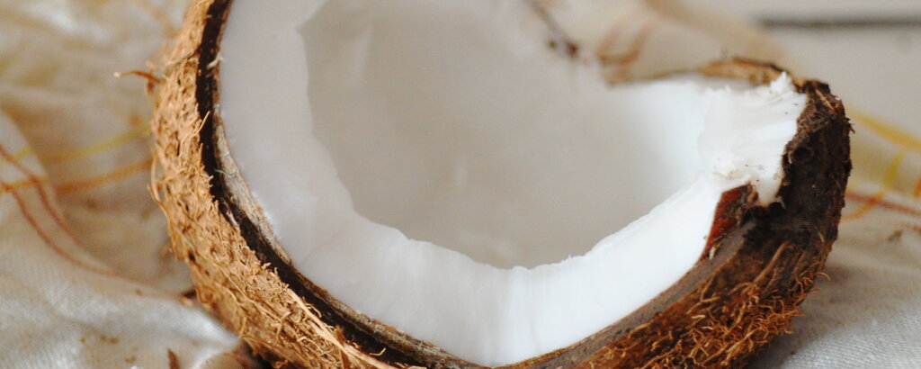 Kokos&ouml;l wird aus dem Fruchtfleisch von Kokosn&uuml;ssen gewonnen