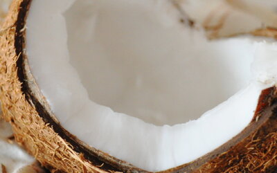 Kokos&ouml;l - die Kraft aus der Natur