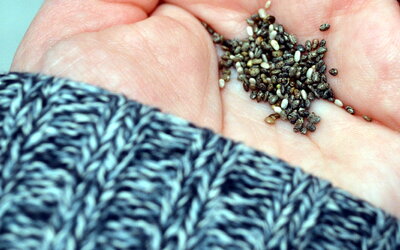 Was sind Chia-Samen?