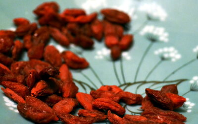 Was sind Goji-Beeren?