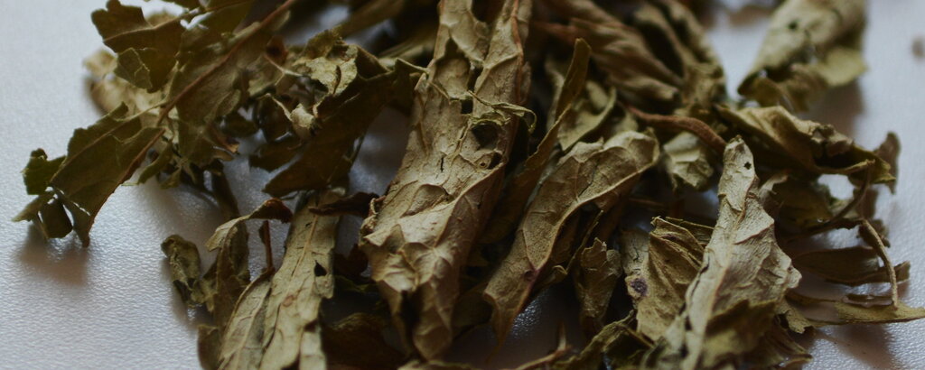 Dies sind getrocknete Steviabl&auml;tter, die ebenfalls zum S&uuml;&szlig;en von Speisen geeignet sind. Auch im Tee kann man sie verwenden. Ihr k&ouml;nnt eine Steviapflanze auch selbst anbauen.