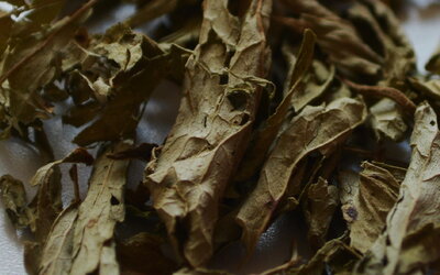 Zucker und S&uuml;&szlig;ungsmittel