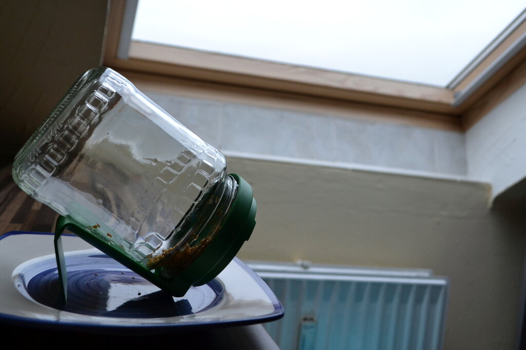 ...und stellt das Glas an einen hellen Ort - am besten auf einen Teller, die &Ouml;ffnung des Glases zeigt nach unten. Ab sofort m&uuml;sst ihr die Keimlinge t&auml;glich zweimal mit Wasser sp&uuml;len. Das hei&szlig;t: Deckel auf, Wasser rein, etwas sch&uuml;tteln, Deckel drauf und Wasser wieder raussch&uuml;tten.