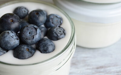 Reisgurt: Veganer Joghurt auf Reisbasis