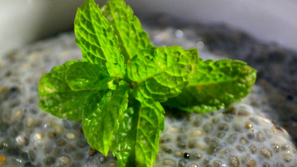 Chia-Pudding