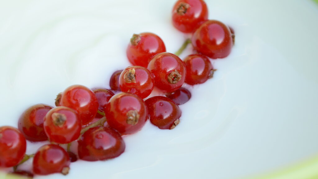 Veganen Joghurt herstellen