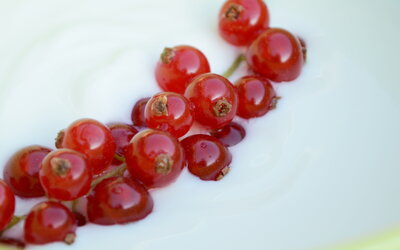 Veganen Joghurt herstellen