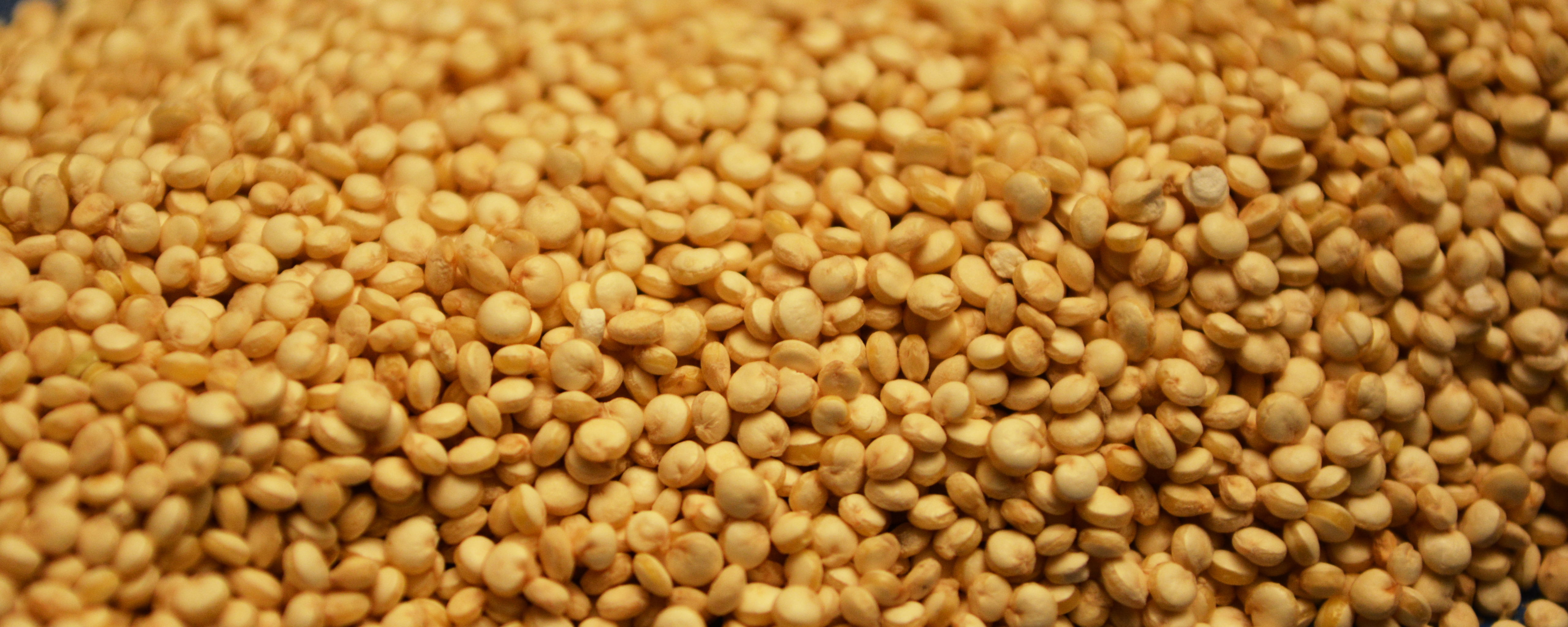 Alles über Quinoa - Veganesk