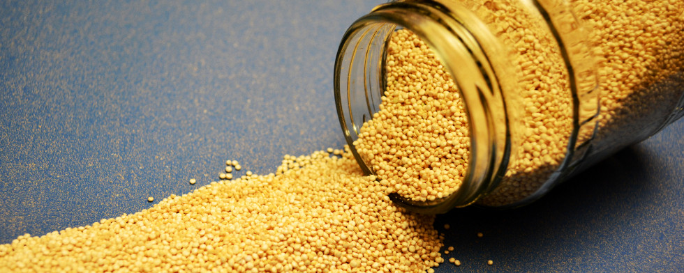 Quinoa ist im rohen beziehungsweise getrockneten Zustand sehr lange haltbar - am besten in einem Glas aufbewahren.