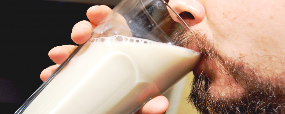 Alternativen für Milchprodukte lesen