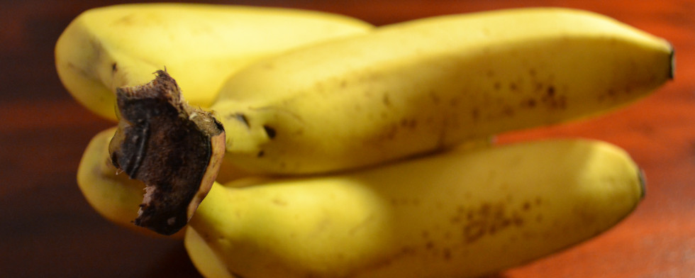 Bananen sind lecker und gesund. Sie enthalten viele Kohlenhydrate.